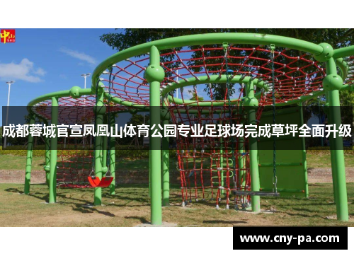 成都蓉城官宣凤凰山体育公园专业足球场完成草坪全面升级